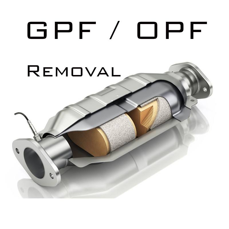 GPF / OPF Delete Image